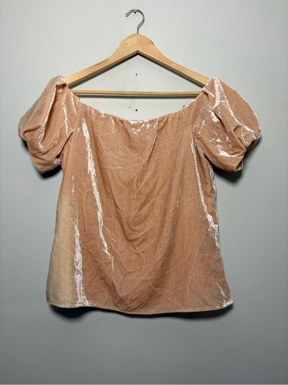 WAYF Lindon Off Shoulder Crushed Velvet Top Blush Pink Puff Sleeve S Coquette